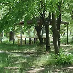Zelenyi Kampus *