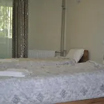 Hotell Zelenyi Kampus *