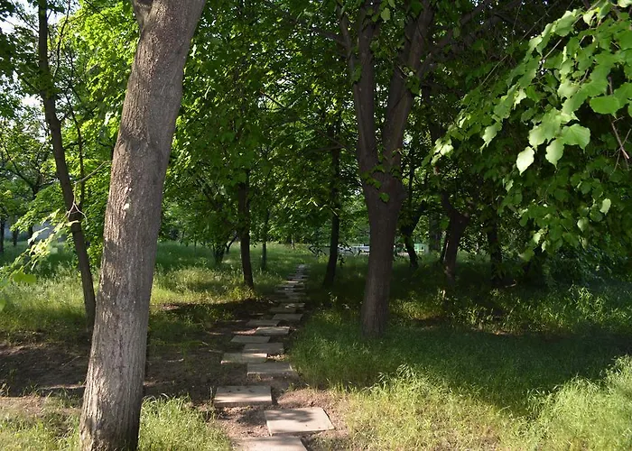 Готель Zelenyi Kampus *